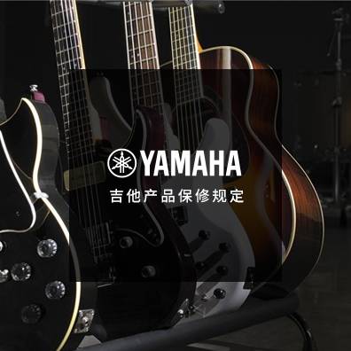 吉他、贝斯和音箱